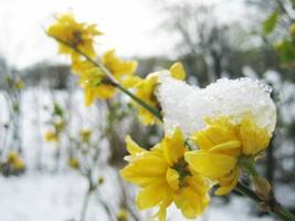 The Euro Zone Economy Is Feeling Frost In The Spring